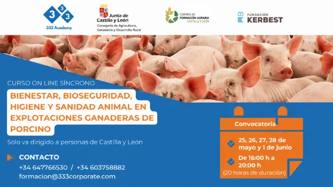 Curso de Bienestar, Bioseguridad, Higiene y Sanidad Animal en Explotaciones Ganaderas de Porcino