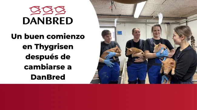 Un buen comienzo en Thygrisen después de cambiarse a DanBred