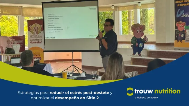 Estrategias para reducir el estrés post-destete y optimizar el desempeño en Sitio 2