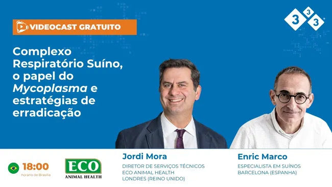 Videocast gratuito: Complexo respiratório suíno, o papel do Mycoplasma e estratégias de erradicação