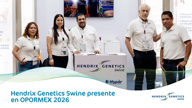 Hendrix Genetics Swine fortalece su presencia regional durante OPORMEX 2026