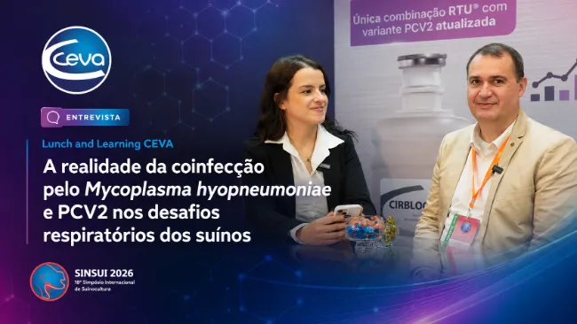 Lunch and Learning: Prof. Dr. Luís Guilherme de Oliveira aborda coinfecção por Mycoplasma hyopneumoniae e PCV2 no complexo respiratório dos suínos