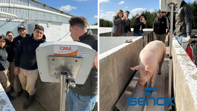 Genox acompañó la implementación de tecnología de pesaje en movimiento en Granja La Chicho