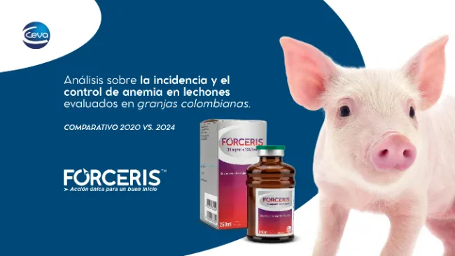 Análisis sobre la incidencia y el control de anemia en lechones evaluados en granjas colombianas. Comparativo 2020 vs. 2024