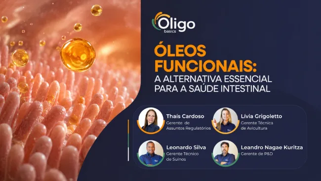 Óleos funcionais: a alternativa essencial para a saúde intestinal