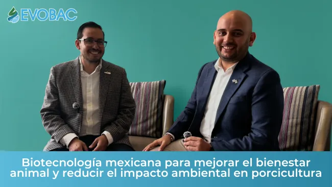 EVOBAC: biotecnología mexicana para mejorar el bienestar animal y reducir el impacto ambiental en porcicultura