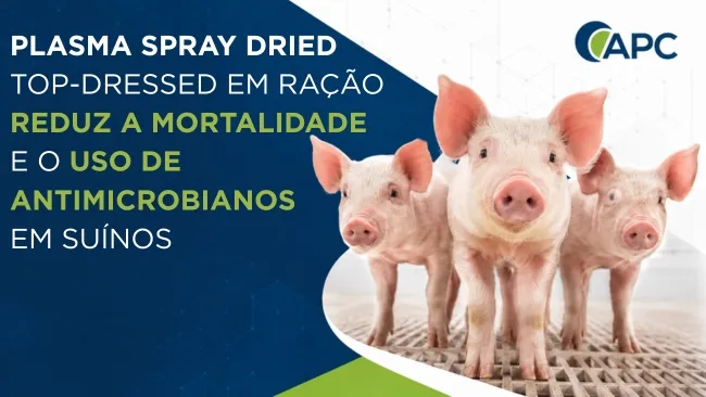 Plasma spray dried top-dressed em ração reduz a mortalidade e o uso de antimicrobianos em suínos de crescimento e terminação