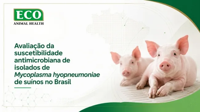 Avaliação da suscetibilidade antimicrobiana de Mycoplasma hyopneumoniae isolado de suínos no Brasil