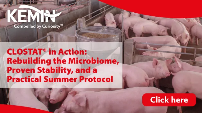 CLOSTAT® in Action: Rebuilding the Microbiome, Proven Stability, and a Practical Summer Protocol