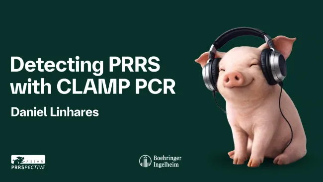  5 Clamp PCR in Practice What is the Benefit? - Daniel Linhares