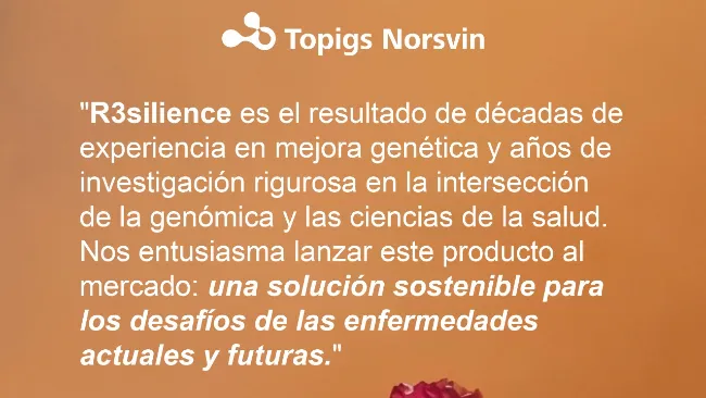 Navegando el futuro de la porcicultura: La ruta de la resiliencia. 🗺️🐖