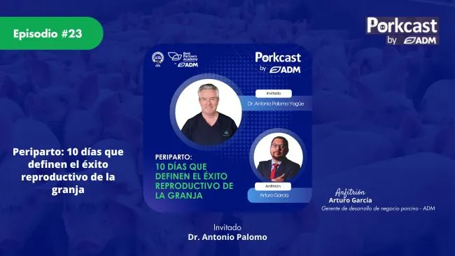 PorkCast #23: El periparto, una etapa clave para mejorar la productividad y la rentabilidad