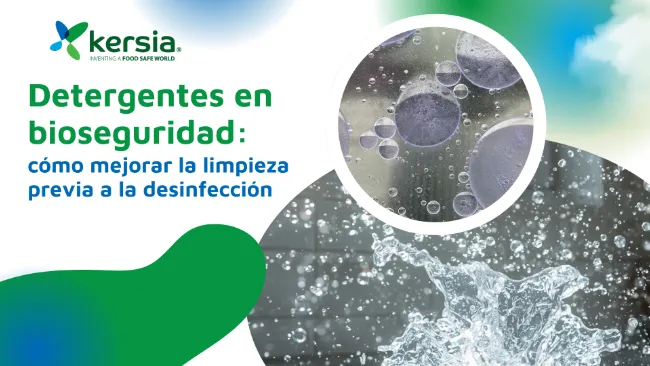 Antes de desinfectar, limpiar bien: Claves para elegir el detergente adecuado