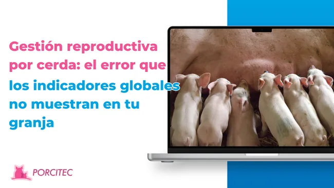Gestión reproductiva: La cerda que no se ve en el problema 