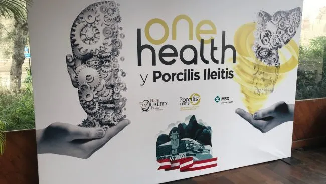Revisa los mejores momentos del High Quality Pork Congress 2018. MSD Salud Animal.