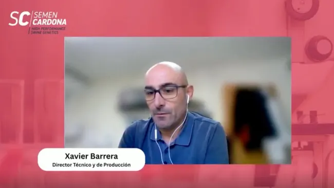 🎬 Cápsula 2 – Error de trazabilidad en la línea finalizadora