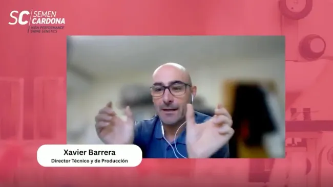 🎬 Cápsula 3 – Trazabilidad en el tiempo