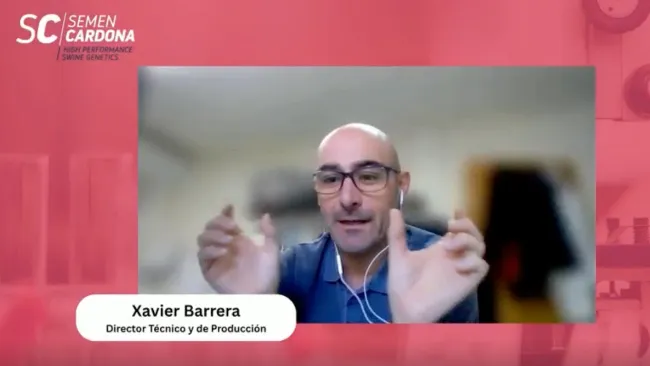 🎬 Cápsula 3 – Trazabilidad en el tiempo