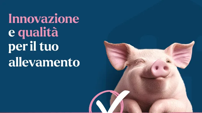 IGP Norcia: quando il disciplinare è severo, serve un mangime che lo rispetti al dettaglio
