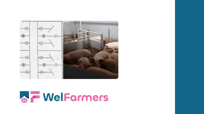 Abstract: A Welfare-Focused Fattening Barn in Synergy with a Methanation Unit