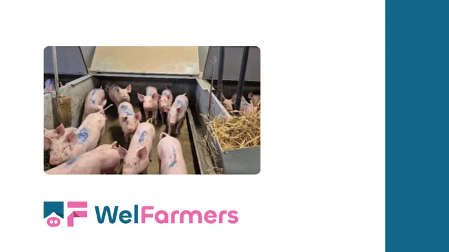 Abstract: Space to Add Efficiency and Animal Welfare