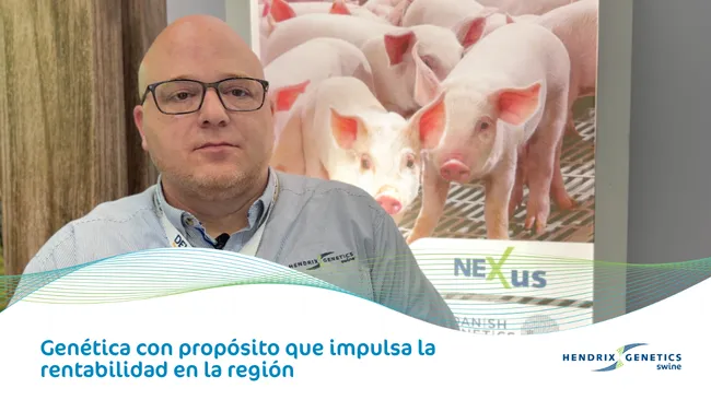 De la genética al conocimiento: la visión de Hendrix Genetics Swine para impulsar la rentabilidad del productor