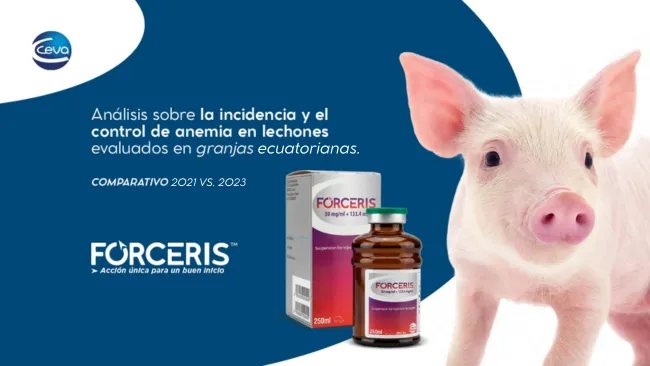 Análisis de prevalencia de anemia en lechones destetos en granjas ecuatorianas