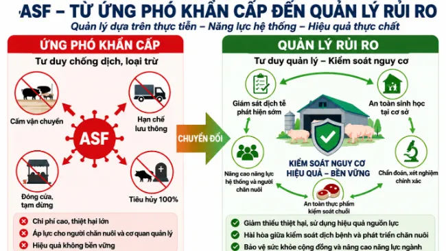 ASF – TỪ ỨNG PHÓ KHẨN CẤP ĐẾN QUẢN LÝ RỦI RO