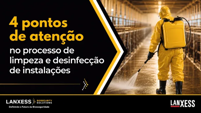 4 pontos de atenção no processo de limpeza e desinfecção de instalações