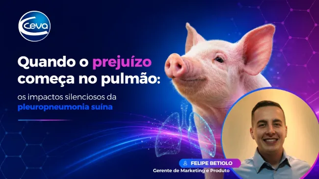 Quando o prejuízo começa no pulmão: os impactos silenciosos da pleuropneumonia suína