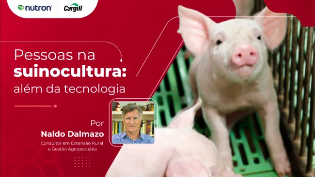 Pessoas na suinocultura: além da tecnologia