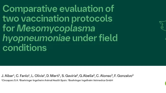 ESPHM 2026 - Comparative evaluation of two vaccination protocols for Mesomycoplasma hyopneumoniae under field conditions