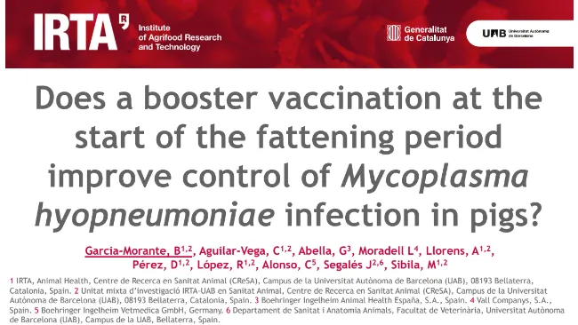 ESPHM 2026- Does a booster vaccination at the start of the fattening period improve control of Mycoplasma hyopneumoniae infection in pigs?