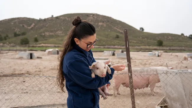 Zoetis publica su Informe de Sostenibilidad 2025: avanzando en la sostenibilidad en salud animal para un futuro mejor