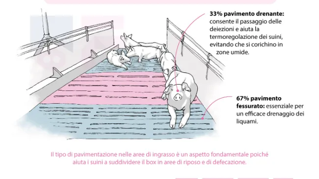 Infografica: Pavimentazione drenante