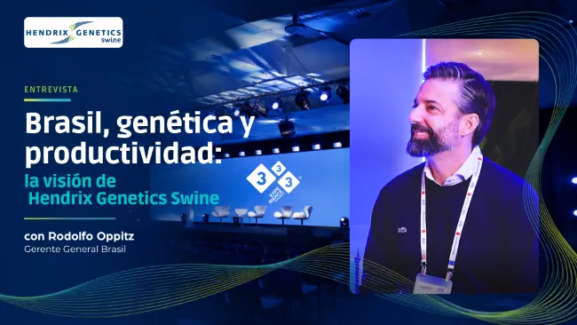Brasil, genética y productividad: la visión de Hendrix Genetics Swine