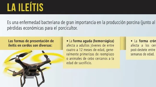 ¿Cuáles son las formas de presentación de la Ileitis?