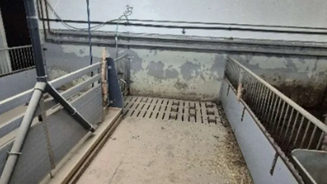 Resumo: Novo e antigo, ambas as obras