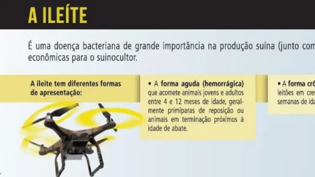 Quais são as formas de apresentação da Ileíte ?