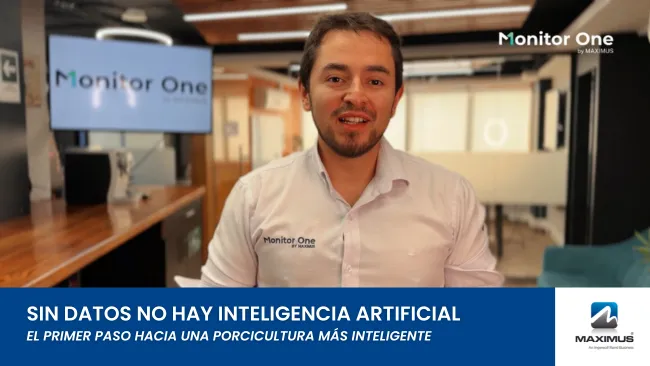 Sin datos no hay inteligencia artificial: el verdadero desafío de la porcicultura moderna