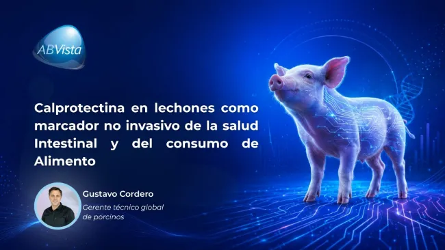 Calprotectina en lechones como marcador no invasivo de la salud Intestinal y del consumo de Alimento