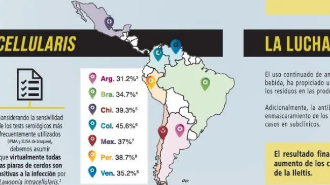 Esta é a prevalência da Ileíte na America Latina 