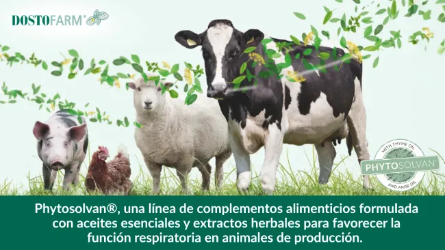 PHYTOsolvan®: una estrategia natural para fomentar la salud respiratoria en producción animal