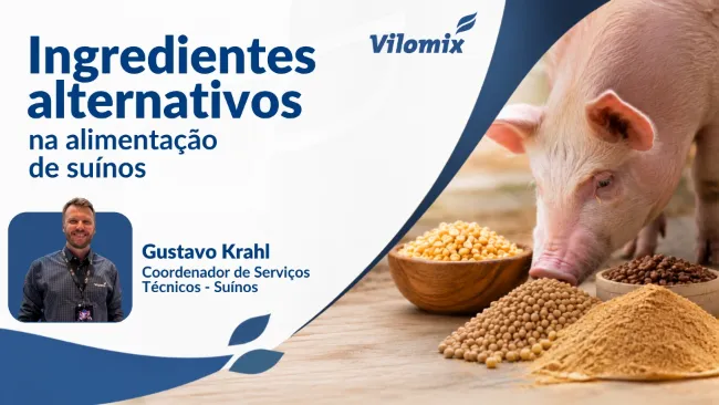 Ingredientes alternativos na alimentação de suínos