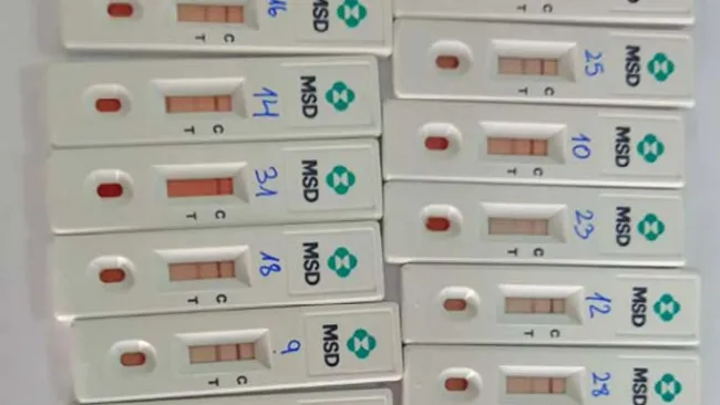 6 aplicaciones de la nueva herramienta basada en los niveles de progesterona en el control reproductivo