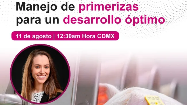 Webinar de Manejo de primerizas para un desarrollo óptimo. Con Julia Link Moroni
