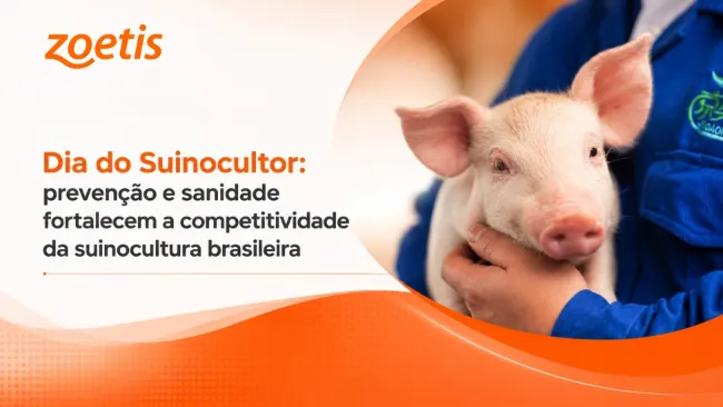 Dia do Suinocultor: prevenção e sanidade fortalecem a competitividade da suinocultura brasileira