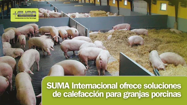 Suma Internacional ofrece soluciones de calefacción para granjas porcinas: equipos de alto rendimiento con más de 80 años de respaldo