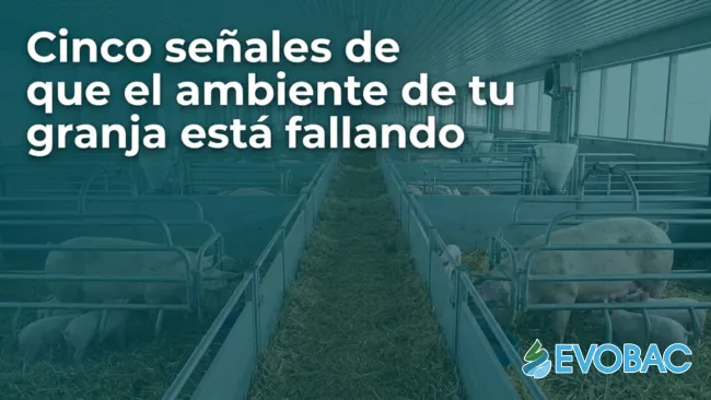 Cinco señales de que el ambiente de tu granja está fallando antes de que lo veas en los números