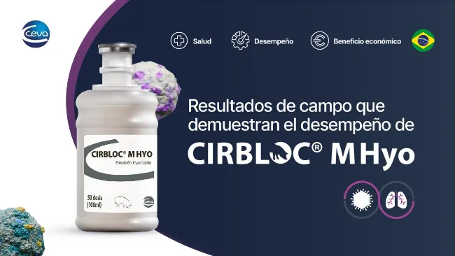 CIRBLOC® M Hyo: resultados de campo en Brasil confirman control superior de PCV2 y mejor desempeño productivo